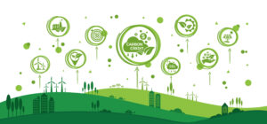 4 Carbon Credits Systems Shaping Global Climate Action